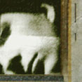 K.k. DePau - mixed media photgraphyl